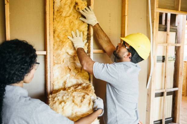 Best Home Insulation Services  in Mcrae Helena, GA