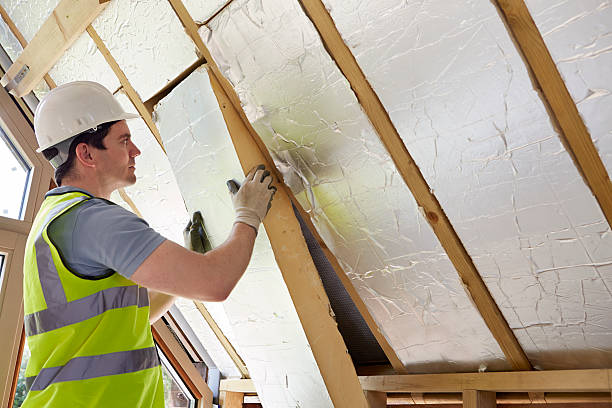Best Local Insulation Services  in Mcrae Helena, GA
