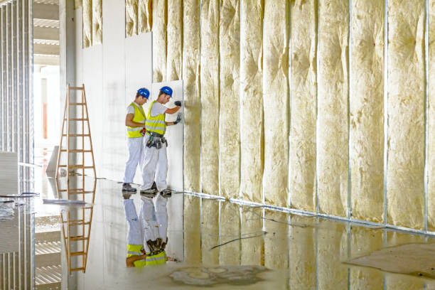 Best Attic Insulation Installation  in Mcrae Helena, GA